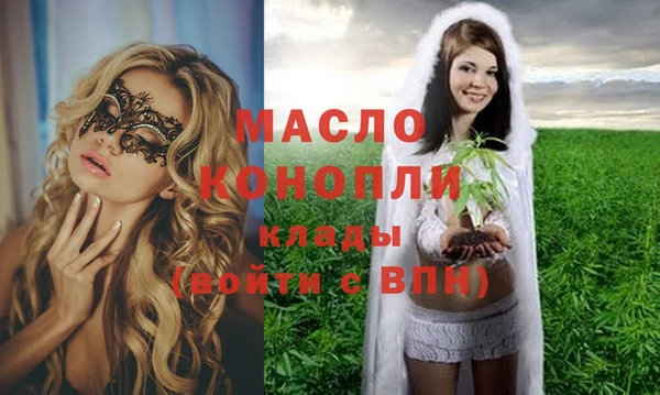 хмурый Инсар