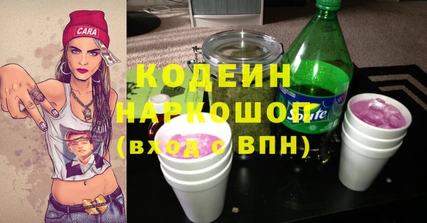 хмурый Инсар
