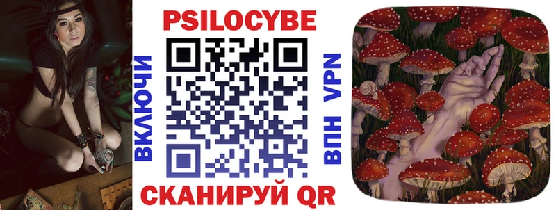 Купить  Вяземский  Галлюциногенные грибы GOLDEN TEACHER 